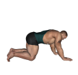 Quad - All Fours Stretch
